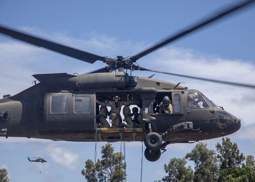 Air Assault Training