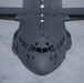Exercise Mobility Guardian 21