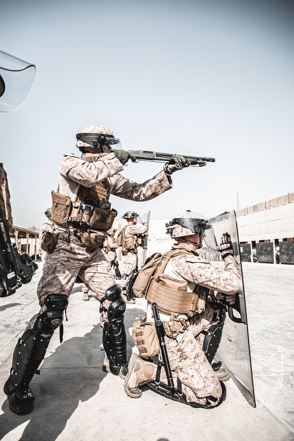 Less Than Lethal Équipement : Nonlethal or Less-Lethal: Does it matter ...