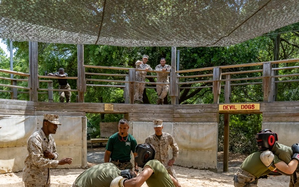 Alpha Company Pugil Sticks and Boxing