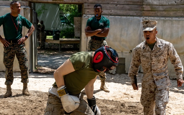 Alpha Company Pugil Sticks and Boxing