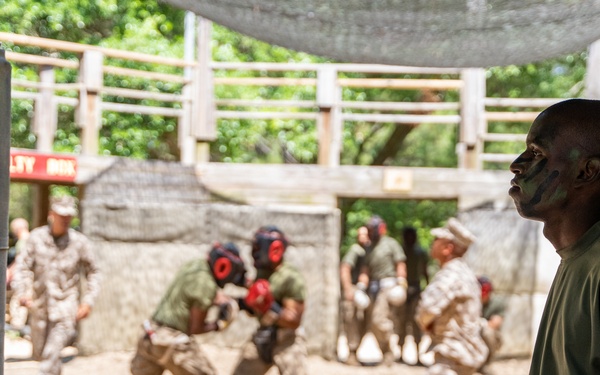 Alpha Company Pugil Sticks and Boxing