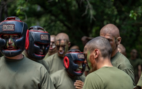 Alpha Company Pugil Sticks and Boxing