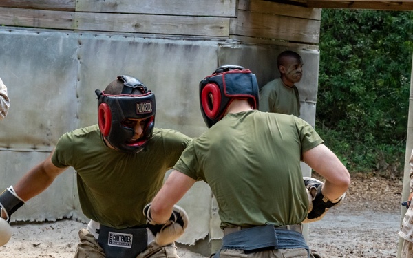 Alpha Company Pugil Sticks and Boxing