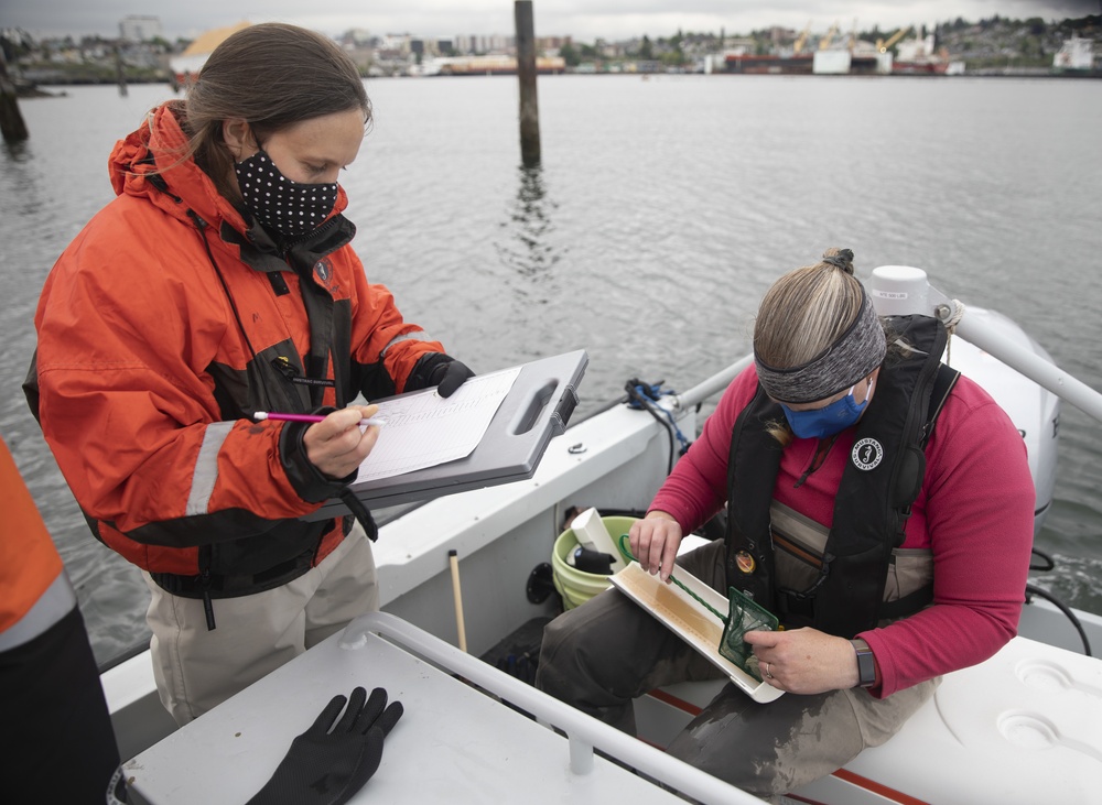 Naval Station Everett Environmental Department and National Oceanic and Atmospheric Administration Joint Study