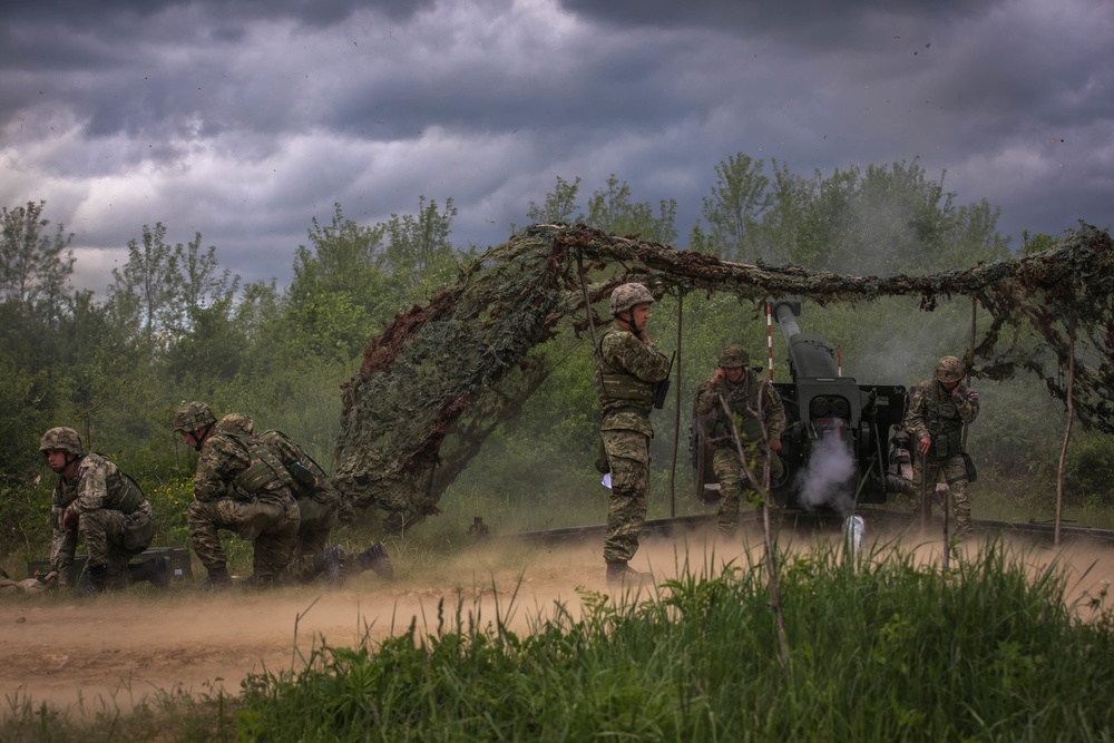 Combined Maneuver and Artillery Live-fire