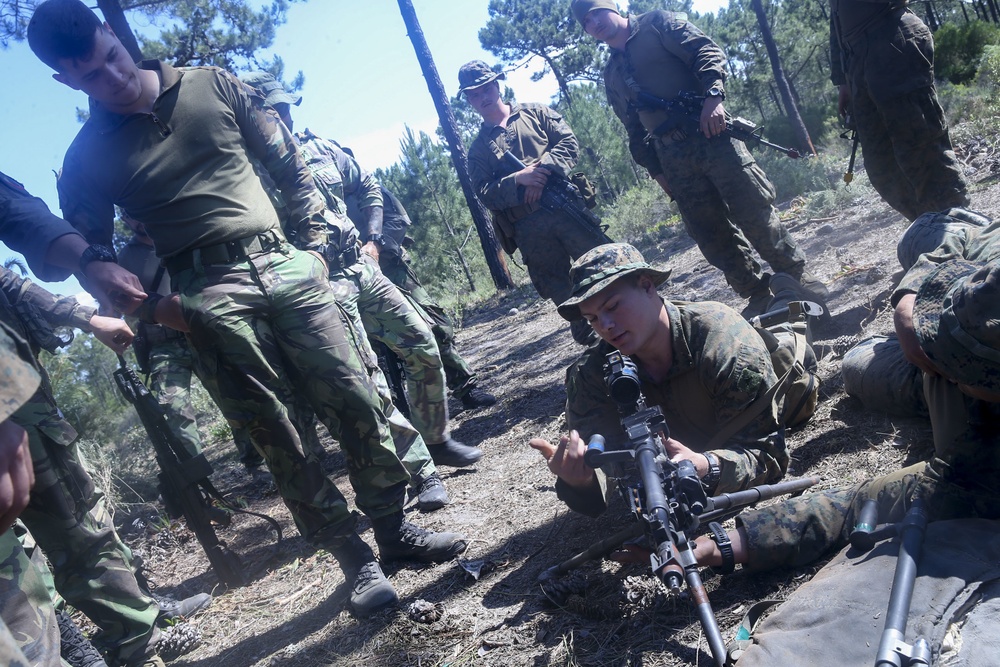 Marine Compare and Contrast