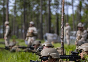 Excellence Seen in the Light Is Forged in the Dark