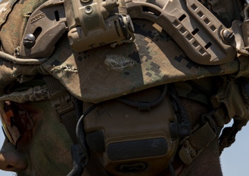 Excellence Seen in the Light Is Forged in the Dark