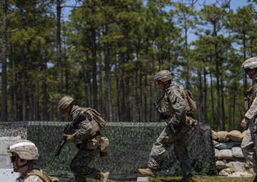 Excellence Seen in the Light Is Forged in the Dark