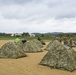 354th at Young Tactical Landing Site