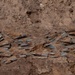 48th CES unearths WWII-era ammunition