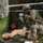 Eighth Army Expert Field Medical Badge (EFMB) 2021