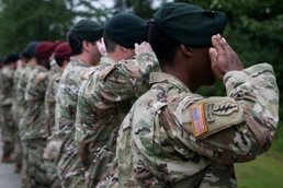 Saluting Soldiers