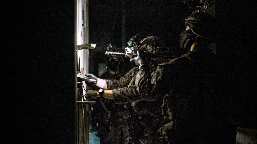 Dusk Devils: Marines with 3/2 and MARSOC Conduct Integrated Night-Raid Training