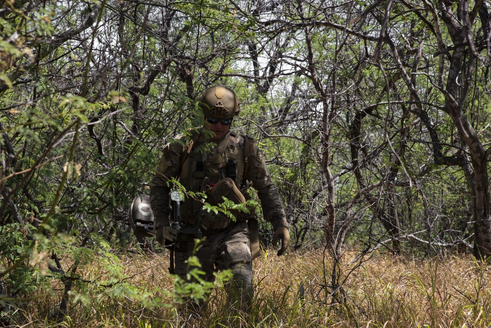 142nd WG EOD techs train at Hickam