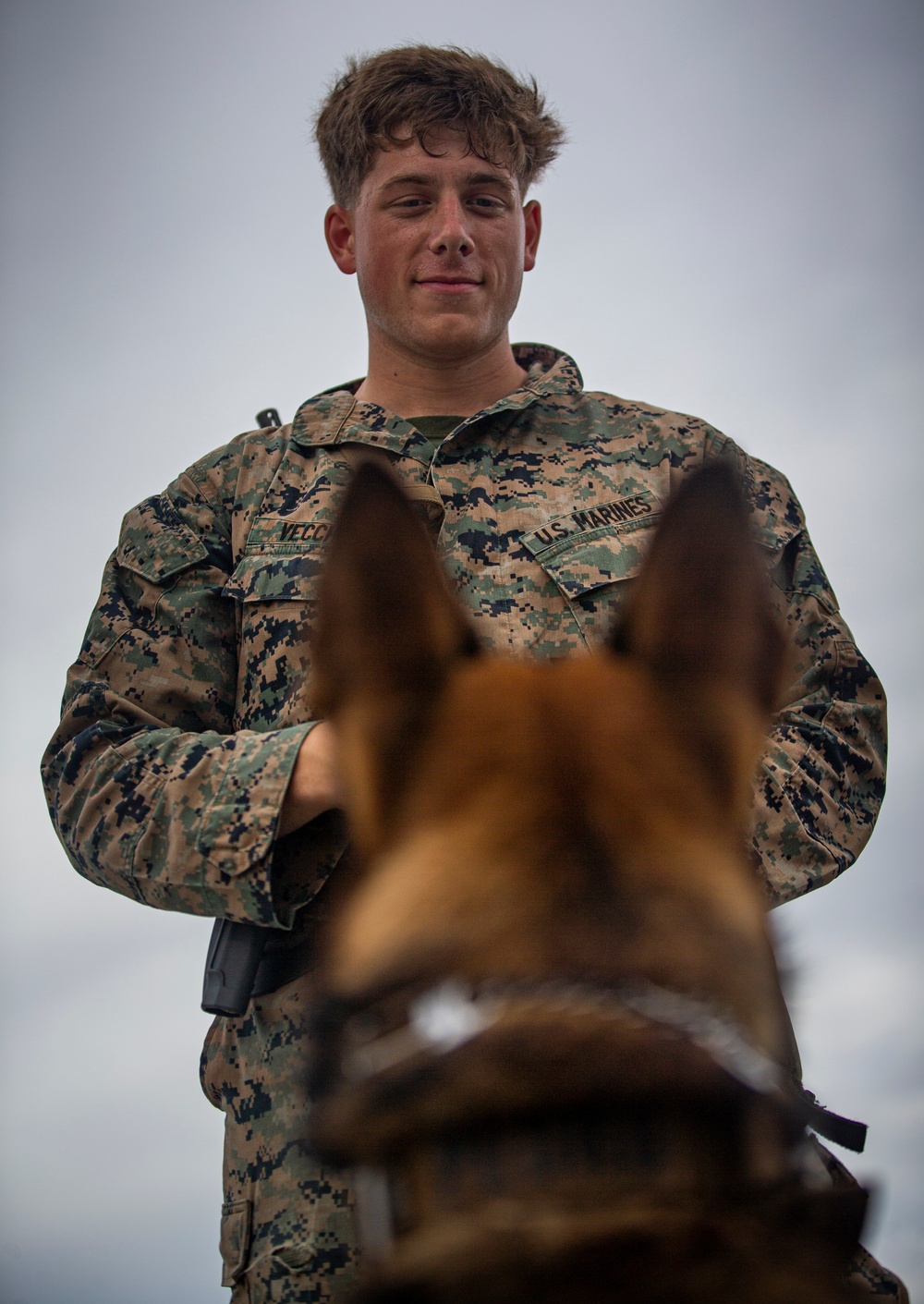 US Marines conduct an embassy reinforcement exercise