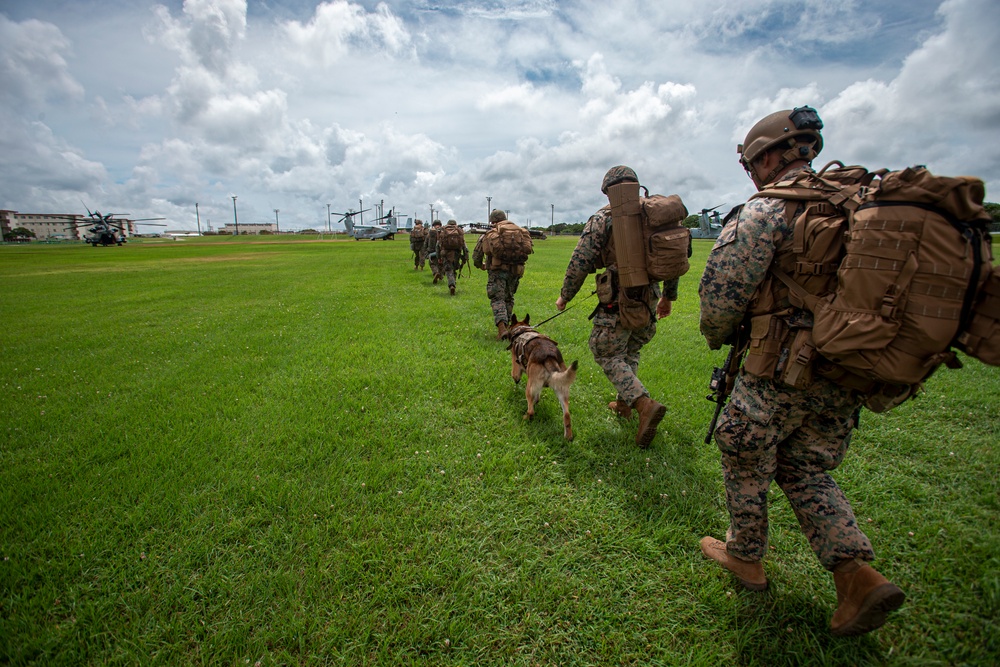 US Marines conduct an embassy reinforcement exercise