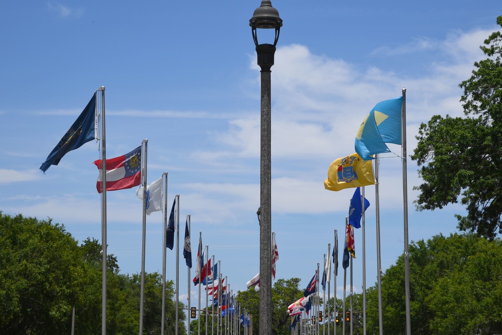 The Boulevard of Flags