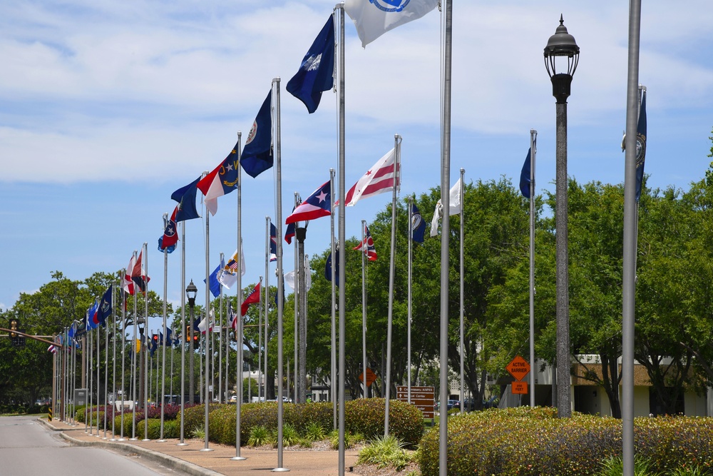 The Boulevard of Flags