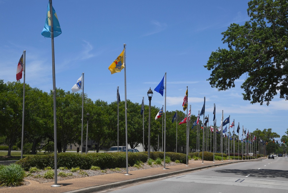 The Boulevard of Flags