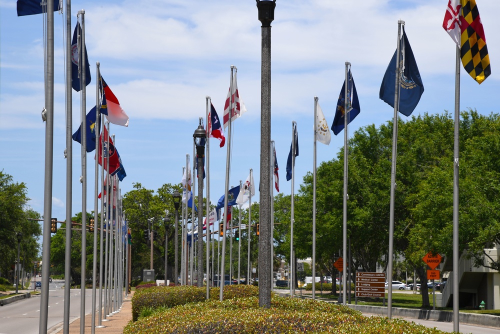 The Boulevard of Flags