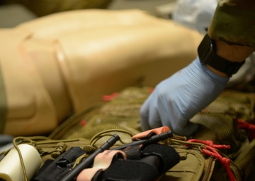 HHC 1-376th Aviation trains at Camp Ripley's MYSTC