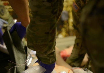 HHC 1-376th Aviation trains at Camp Ripley's MYSTC