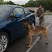 Team Whiteman tests first responders with active shooter exercise