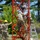Radio communications tower erected at the 177th Fighter Wing of the New Jersey Air National Guard A group of military personnel in camouflage uniforms are assembling or working on a red lattice tower structure. Two workers wearing hard hats (red and yellow) observe and assist from ground level while two others climb the tower using an aluminum ladder. The work appears to be taking place at an outdoor facility surrounded by a chain-link fence and trees.