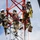 Radio communications tower erected at the 177th Fighter Wing of the New Jersey Air National Guard Three workers in military-style uniforms and safety harnesses are performing maintenance or construction work on a red and white communications or utility tower. All workers are equipped with full fall-arrest harness systems, white helmets, and tool bags. The image is taken from a low angle looking upward, emphasizing the height and the workers' elevated position.