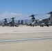 Welcome Home 15th MEU