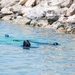 U.S. Navy and Air Force SOF perform joint dive training