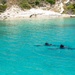 U.S. Navy and Air Force SOF perform joint dive training