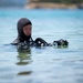 U.S. Navy and Air Force SOF perform joint dive training