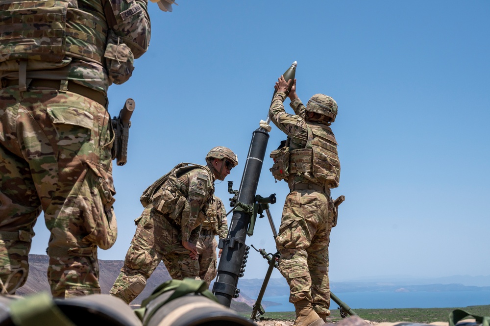 U.S. and French partner forces participate in mortar training