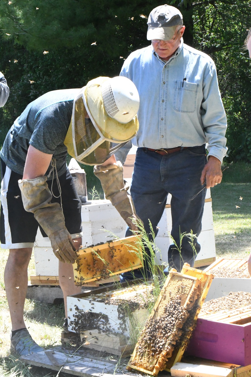 Fort Drum Soldiers, veterans can explore agricultural career paths through Farm OPS and Cornell Cooperative Extension of Jefferson County