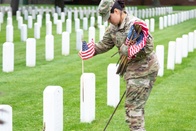 Soldier placing flags at cemetery