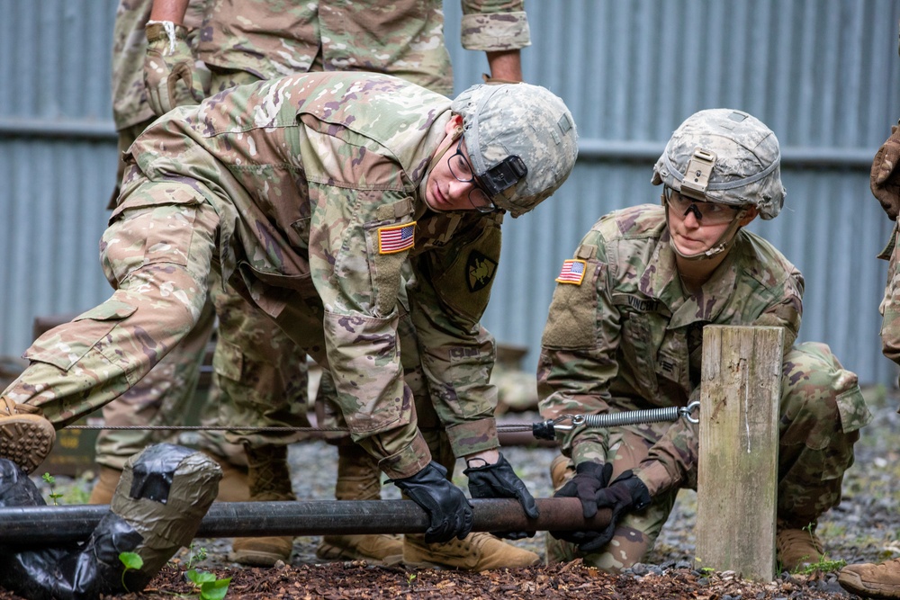 USMA Cadet Summer Training