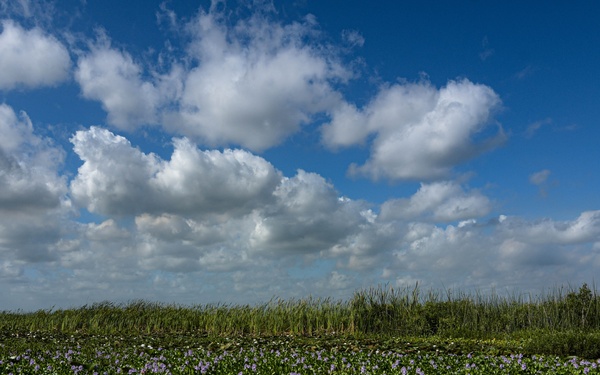 A Simple Device manages the Eco-scape