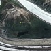 Alaska Air National Guard, civil SAR partners rescue injured hiker from snow slide