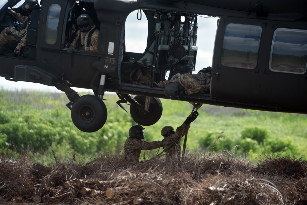 La. Guard resumes annual aerial tree drop to fight erosion, help wildlife