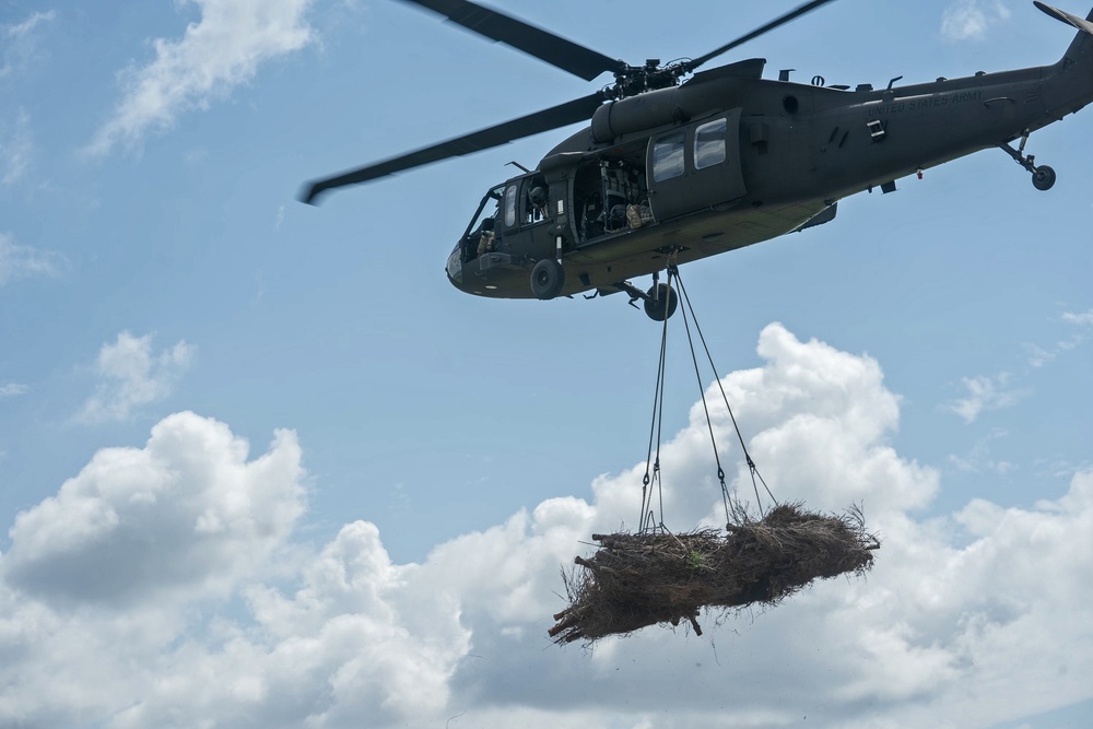 La. Guard resumes annual aerial tree drop to fight erosion, help wildlife