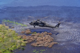 La. Guard resumes annual aerial tree drop to fight erosion, help wildlife