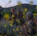11th MEU Conduct Amphibious Assault at Camp Pendleton