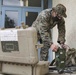 11th MEU Marines conduct NEO training