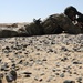 Live fire Exercise