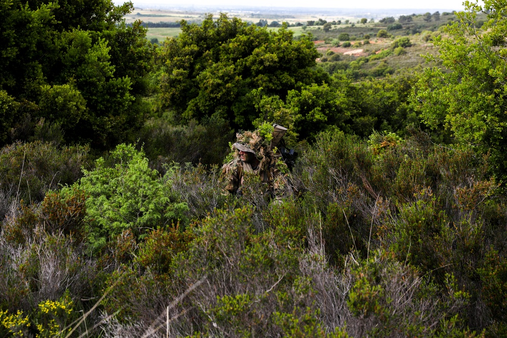 There is Green, and Then There is Army Green