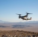 Titanium Wrath at 29 Palms