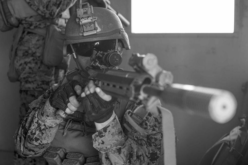 Charlie Co. BLT 1/1, conducts an amphibious assault